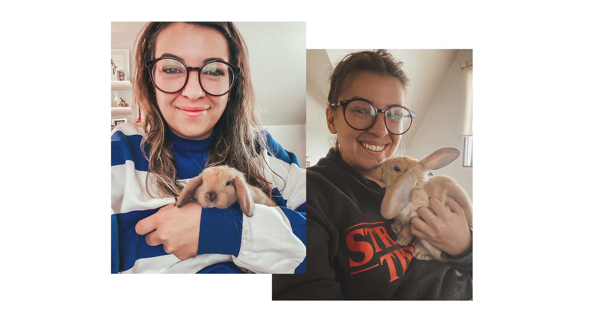 Sobre cómo un conejito me ayudó a levantarme.