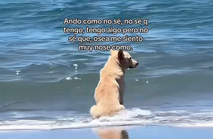 Por qué usamos el humor para sanar